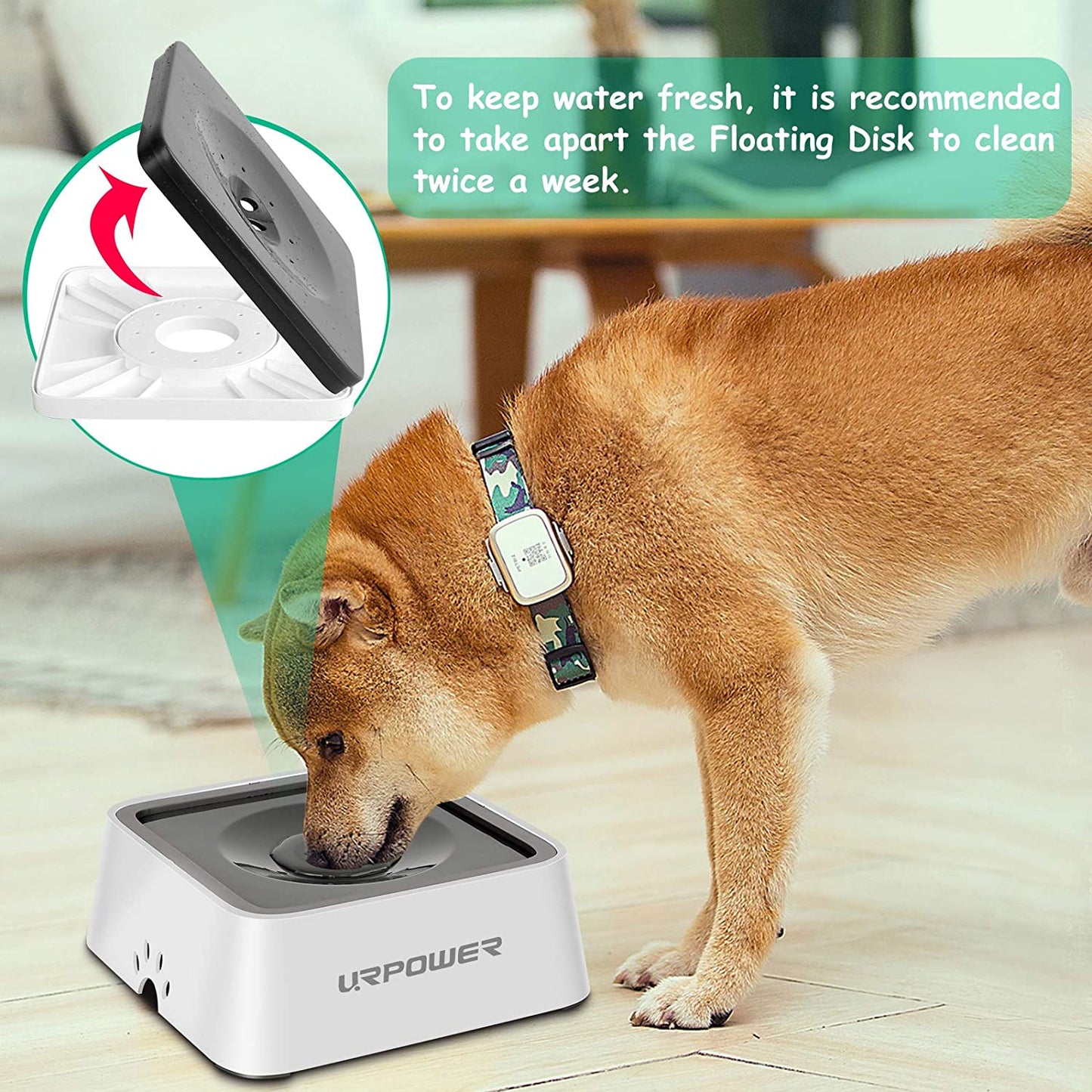 Revolutionary 2.5L No Spill Dog Water Bowl - 85oz Large Capacity Splash Proof Dispenser for Messy Drinkers - Perfect for Travel with Dogs, Cats & Small Pets