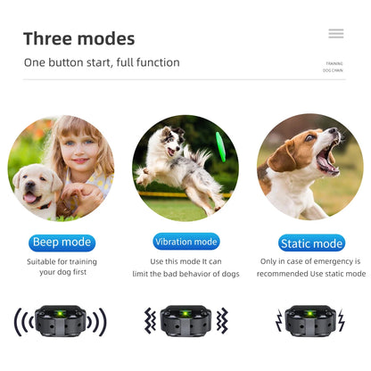 Electric Dog Training Collar Rechargeable anti Barking Shock Vibration Collar Waterproof Trainer for All Dogs Pet with Clicker