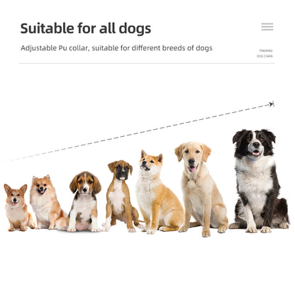 Electric Dog Training Collar Rechargeable anti Barking Shock Vibration Collar Waterproof Trainer for All Dogs Pet with Clicker