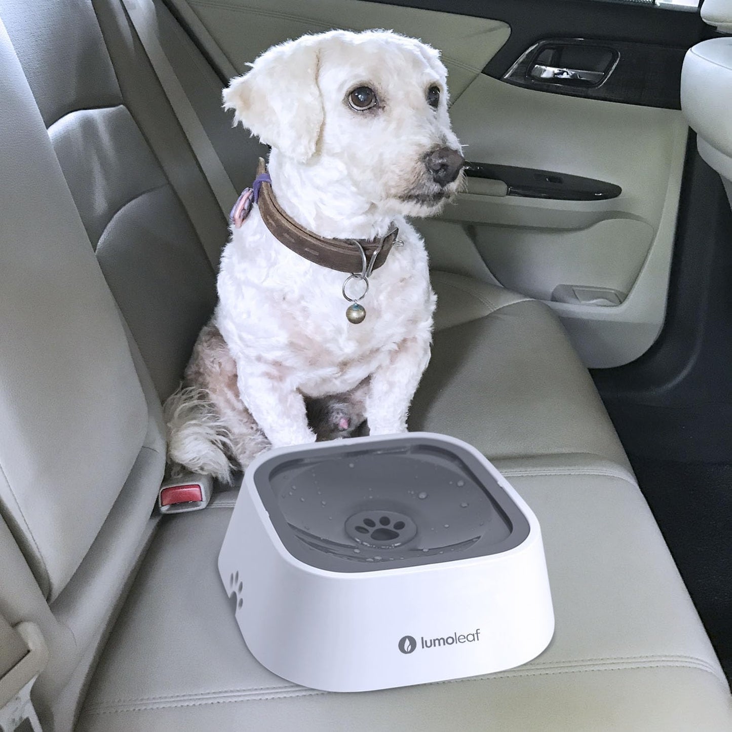 Revolutionary No Spill Water Bowl for Dogs - Slow Feeder Design to Keep Floors Clean and Pets Happy (Grey, 35Oz)