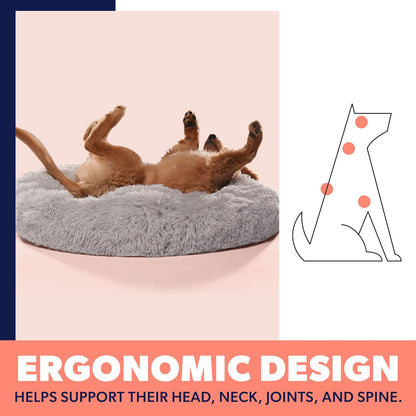 Cozy Small Beige Dog Bed for Dogs Up to 25lbs - Calming Orthopedic Bedding for Anxiety Relief, Joint Support & Ultimate Comfort, Machine Washable