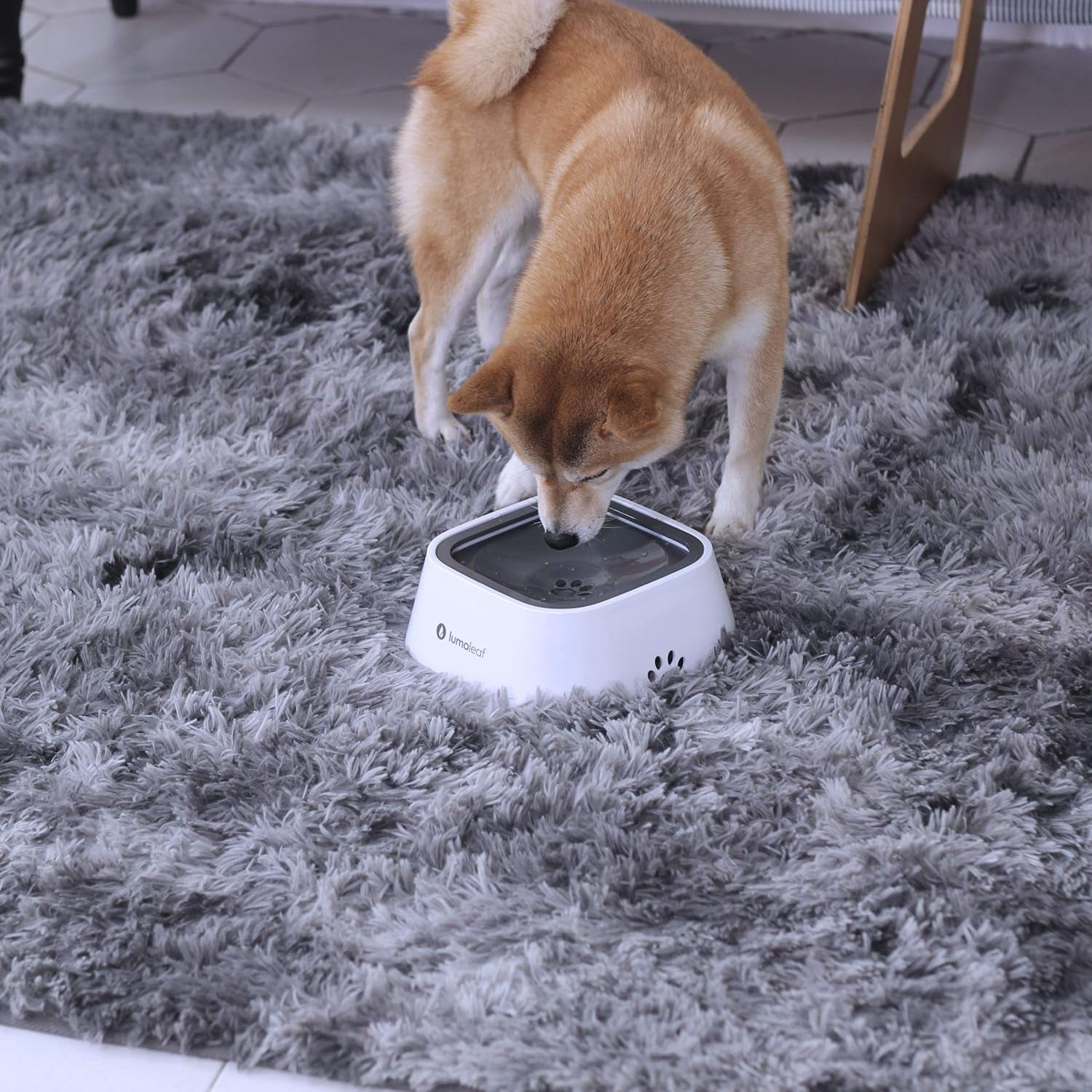 Revolutionary No Spill Water Bowl for Dogs - Slow Feeder Design to Keep Floors Clean and Pets Happy (Grey, 35Oz)
